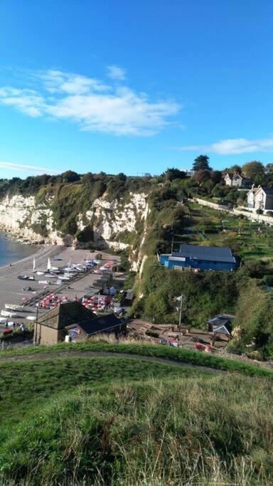 No 27 A Dog Friendly Rural Coastal Chalet Villa Seaton Exterior foto
